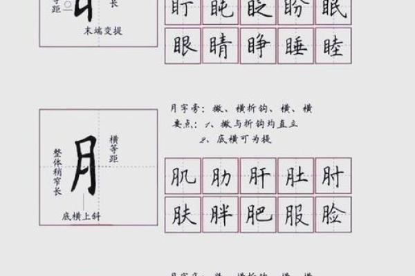 探索汉字的奥秘：偏旁与部首的奇妙世界