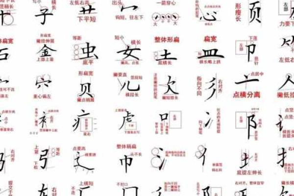 探索汉字的奥秘：偏旁与部首的奇妙世界