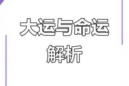五九年命理解析：从命运看人生的选择与机遇