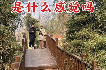 探秘三命照临：婚姻幸福的星辰之道