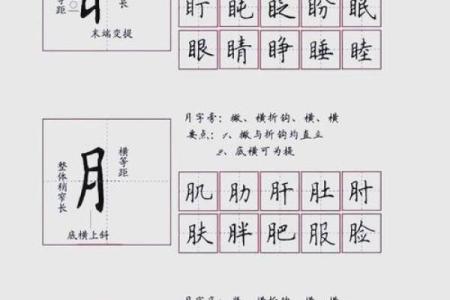 探索汉字的奥秘：偏旁与部首的奇妙世界