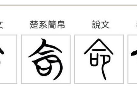探寻牙齿西的命格：揭示不同牙齿特点背后的命运玄学