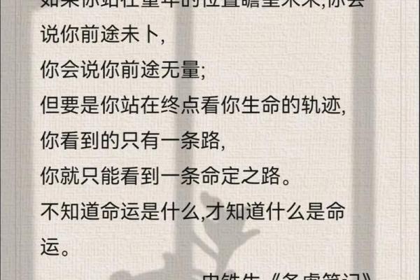 如何通过命理了解自己的命运，探索生命之路的秘密