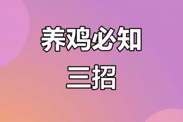 命理与养鸡的完美结合：哪些命格适合养鸡？