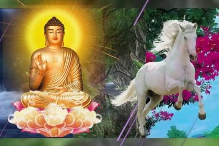 揭秘1900年属马人的命运与人生智慧