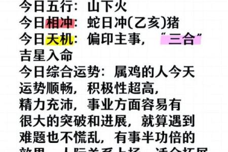93属鸡人的命运与个性解析：揭示生活中的精彩与挑战