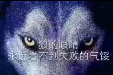 1967年出生的人是谁？揭秘其命运与个性特征！