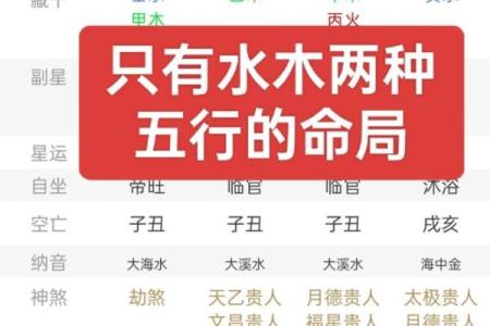 火命与水命的相克关系解析：如何化解矛盾与冲突