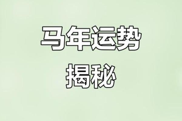 探秘2014年午马之命：性格与运势全解析！