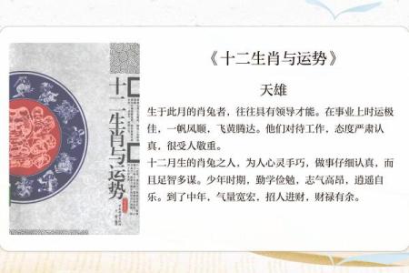 75年属兔之人的性格与命运解析：揭开生命的神秘面纱