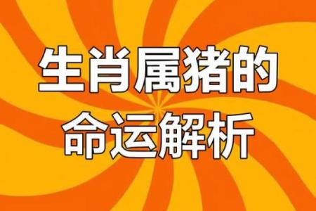 61虚岁属猪的命运解析：生活智慧与运势揭秘