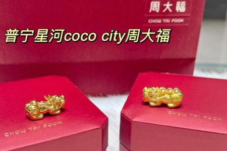 大海水命：如何巧妙搭配饰品助您财运滚滚来