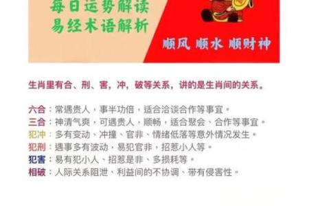 水鼠命的人生优势与好运秘籍，开创幸福未来！