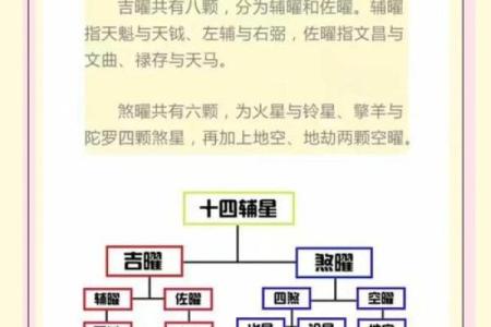 命理学的奥秘：探索人生与运势的深层规律
