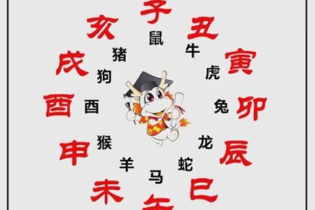 揭秘己命：生肖与命理的奥秘探索