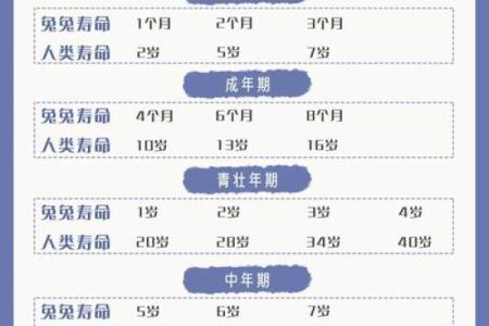 57岁属兔子的命运分析与生活指南