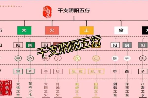 探秘五行属性：年命与日命的深刻影响力