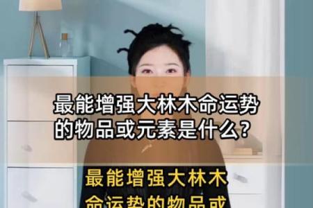 大林木命人士的生活与事业指导：走向成功的关键点