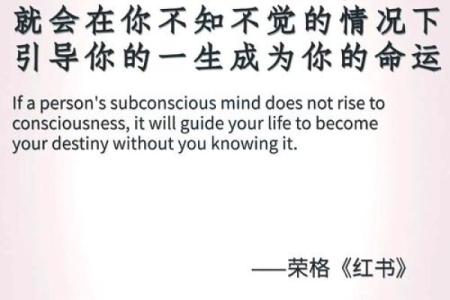命字的深意：探寻生命的奥秘与价值
