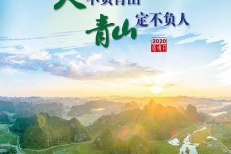 2015年：火焰中的水命，探寻生命与自然的和谐之道