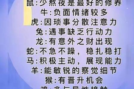 2008年属鼠人的命理解析：缺什么、需珍惜的机会与挑战！