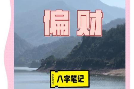 偏财命解析:揭秘你的财富运势和生活档次