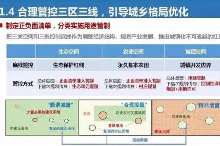 探索“规画之命”：理解生活中的规划与意愿