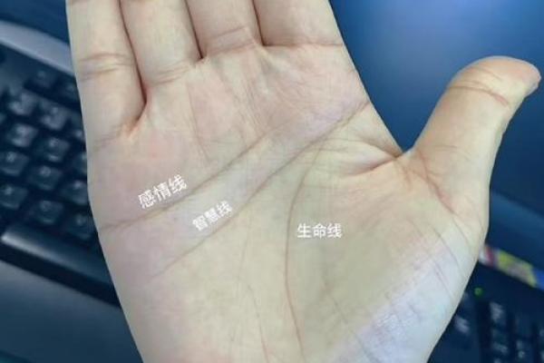 揭秘手相与富贵命的千丝万缕，找到你的财富密码！
