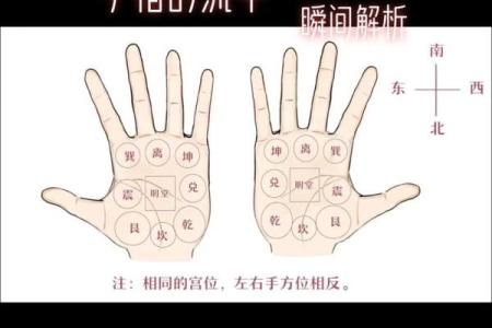 掌纹解密：男生最吉利的掌纹特征与命运分析