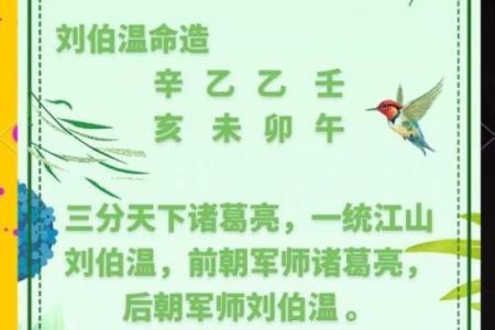 戌时出生的木命解析：探寻命理中的奥秘与人生哲学