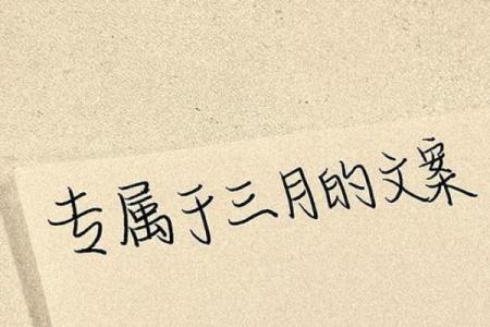 山头火命：追寻人生的光与热，找到最适合的生活方式！