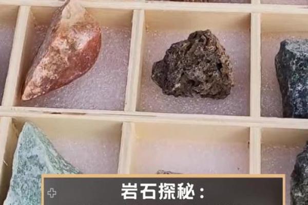 探秘草神：二命和满命的区别与奥秘