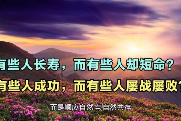 探索命运之谜：揭示人生命运背后的深层含义