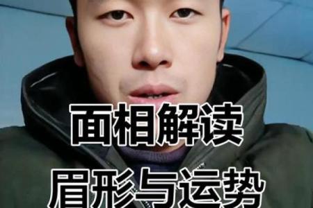 头发硬眉毛粗，命运解析与性格特征的奥秘