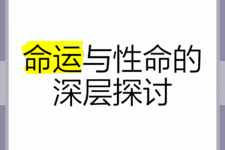 探索“休命”的深意与内涵——人生与命运的交流之道