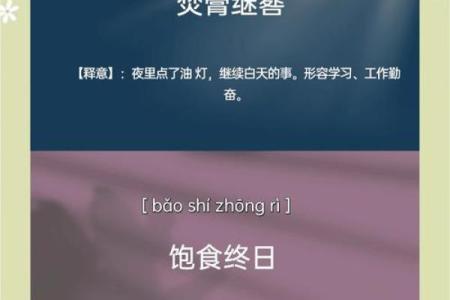 短小精悍：流行中的成语魅力与应用