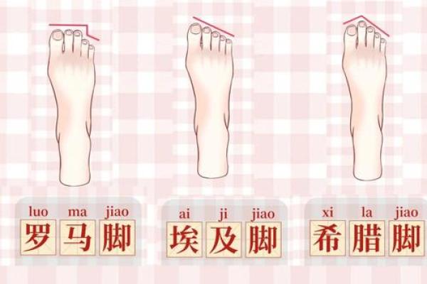 探究脚型与命运的秘密：你的脚型可能隐藏着人生的重大提示！