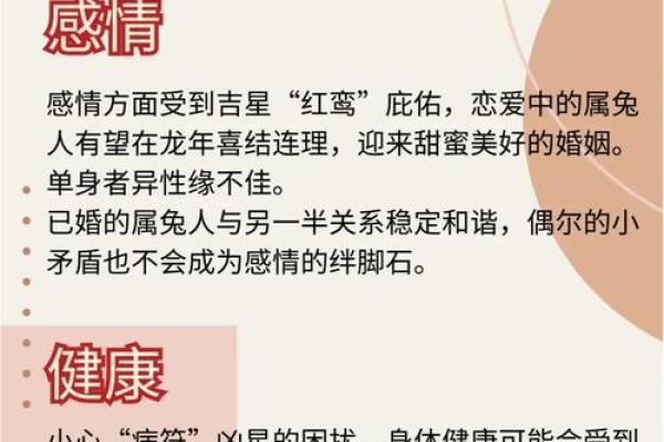 1988年出生的兔年命，注定的性格与命运之旅