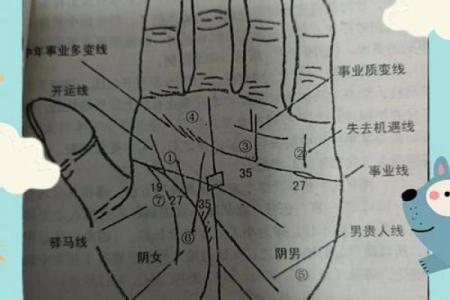 女人手粗大是什么命？揭示手相与命运的奥秘！