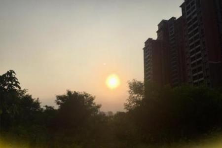 海中金命者的颜色选择：让生活焕发光彩的秘密