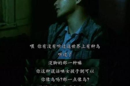 黑色小鸡的命运密码：揭示它们背后的奇妙故事与信仰