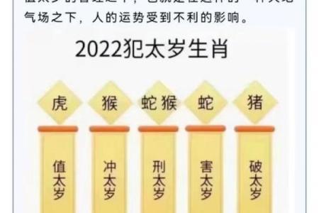 1996年出生的鼠年命运解析：从个性到运势的全面解析