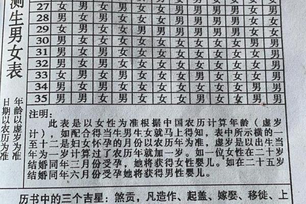 算命属狗的命理解析：你的未来在这里揭晓！
