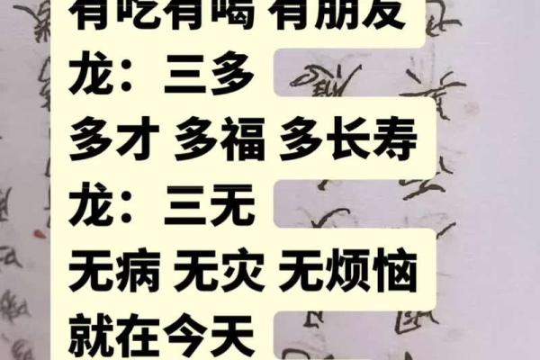 64年属龙人的命格揭秘：探寻命理与生活的奇妙联系