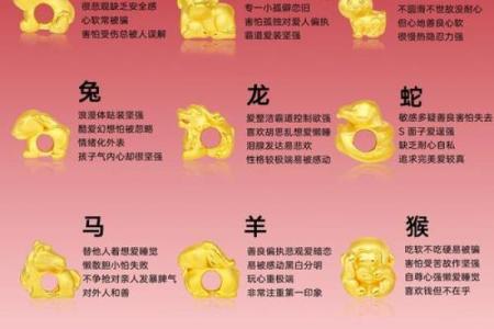 水命人的生肖与命理解析：你属于哪个生肖？