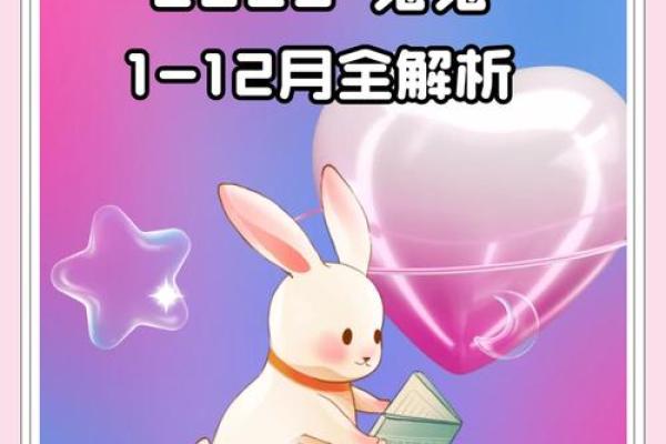 1999年出生的属兔人：生活与命运的探索之旅