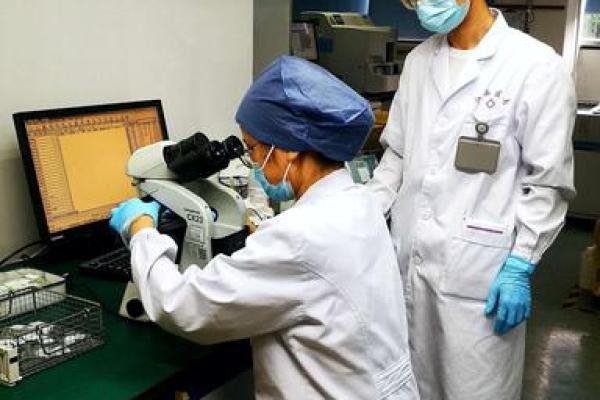 火命兔买房注意事项：理智投资与环境选择的艺术