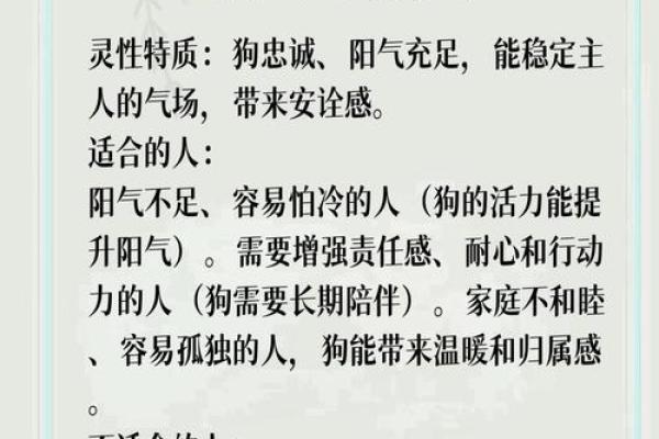灵犬之命：揭秘24号狗的命理特点与生活运势