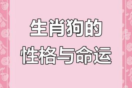 94年属狗，命运与性格解析：揭开你的生肖秘密