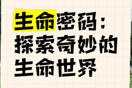 探索天子命格：解码命运与辉煌人生的密码